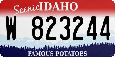 ID license plate W823244