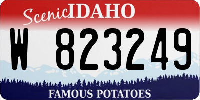 ID license plate W823249