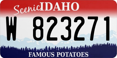 ID license plate W823271