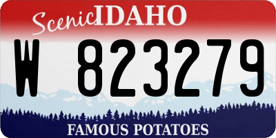 ID license plate W823279