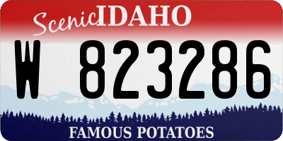 ID license plate W823286