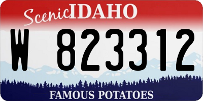 ID license plate W823312