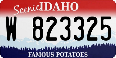 ID license plate W823325