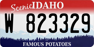 ID license plate W823329