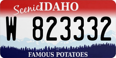 ID license plate W823332
