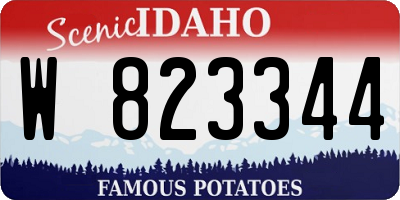 ID license plate W823344