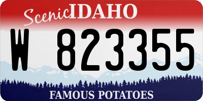 ID license plate W823355