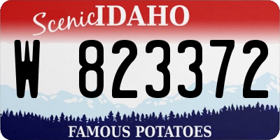 ID license plate W823372