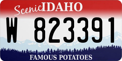 ID license plate W823391