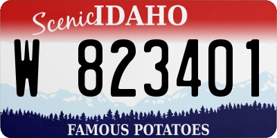 ID license plate W823401