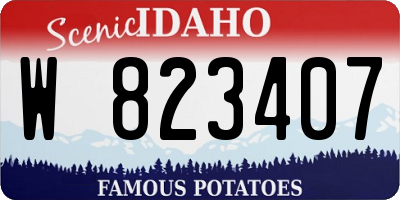 ID license plate W823407