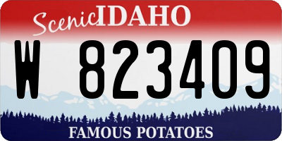 ID license plate W823409