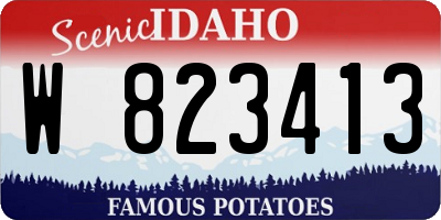 ID license plate W823413