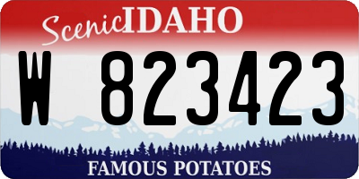 ID license plate W823423
