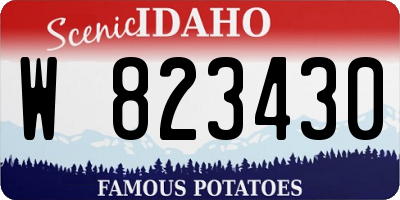 ID license plate W823430