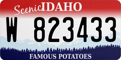 ID license plate W823433