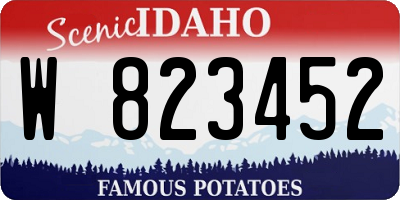 ID license plate W823452
