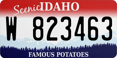 ID license plate W823463