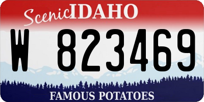 ID license plate W823469