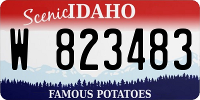 ID license plate W823483