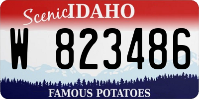 ID license plate W823486