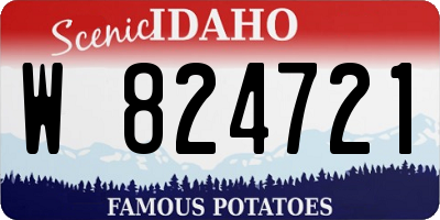 ID license plate W824721