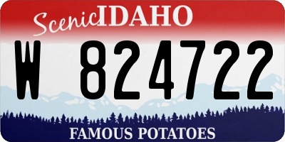 ID license plate W824722