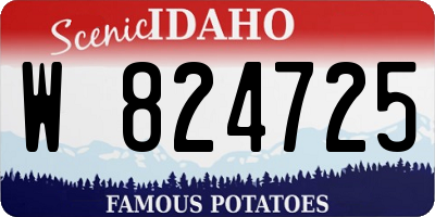 ID license plate W824725