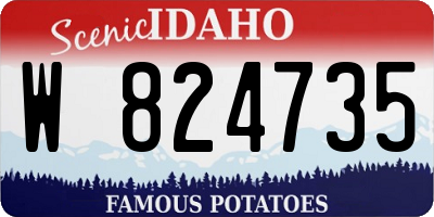 ID license plate W824735