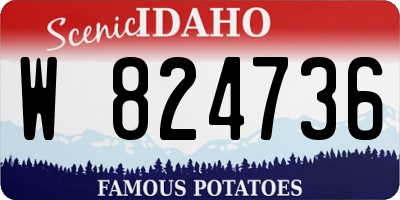 ID license plate W824736