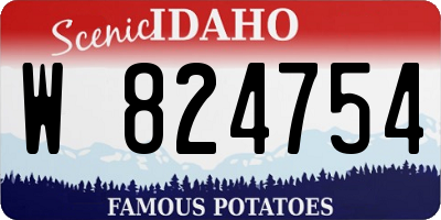 ID license plate W824754