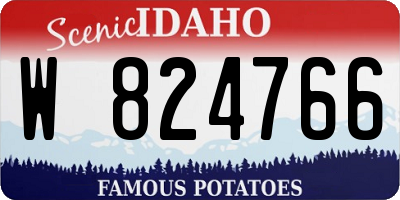 ID license plate W824766