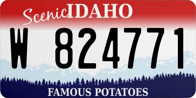 ID license plate W824771