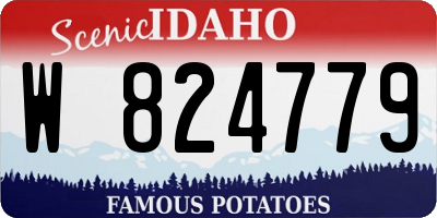 ID license plate W824779