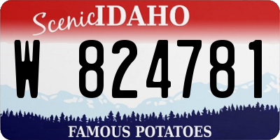 ID license plate W824781