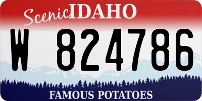 ID license plate W824786
