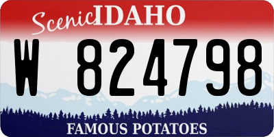 ID license plate W824798