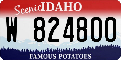 ID license plate W824800