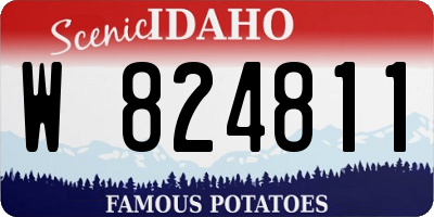 ID license plate W824811