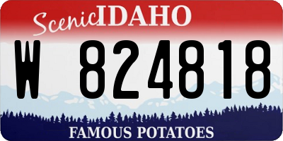 ID license plate W824818