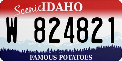 ID license plate W824821