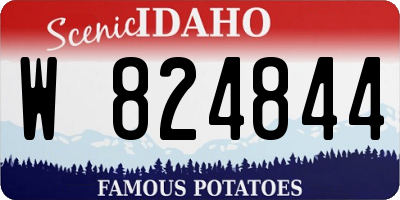 ID license plate W824844