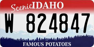 ID license plate W824847