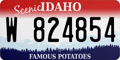 ID license plate W824854