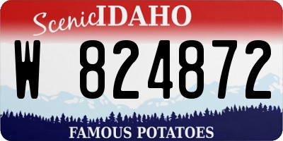 ID license plate W824872