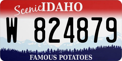 ID license plate W824879