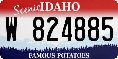 ID license plate W824885