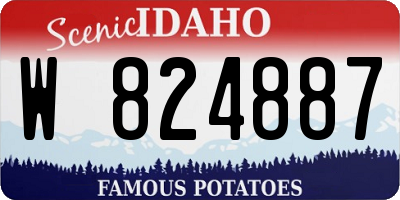 ID license plate W824887