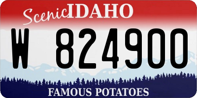 ID license plate W824900
