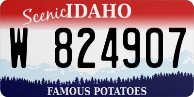 ID license plate W824907